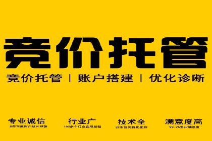 竞价广告赚钱攻略：百度平台实战案例